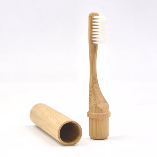 Brosse à dents en bambou biodégradable à tête de brosse en nylon arc-en-ciel de nécessités quotidiennes réutilisables